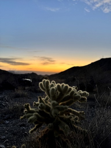 Serene Cozy Tent with Spectacular Desert and Sunset Views in Nevada | Vacation Rentals (Boulder City, Nevada, United States of America)