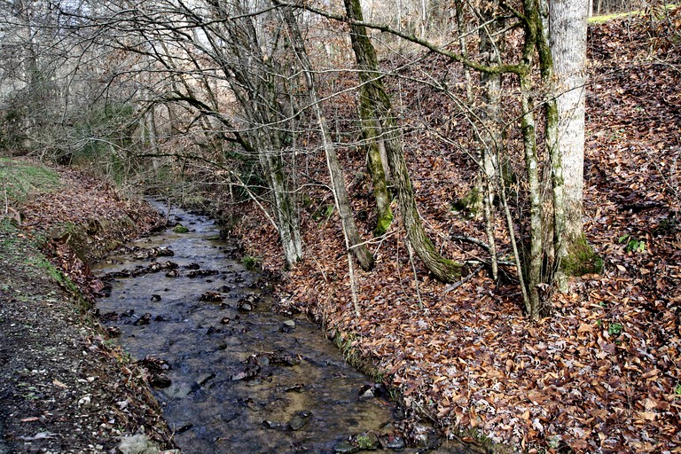 -- (United States of America, Sevierville, Tennessee)