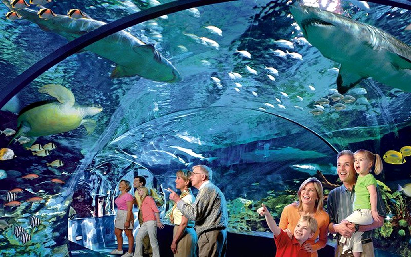 Fantastic Log Cabin with Barbecue and Hot-tub in Gatlinburg, Tennessee