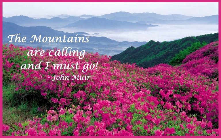 Cabins (United States of America, Gatlinburg, Tennessee)