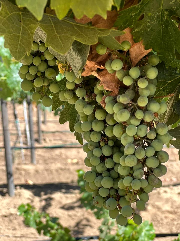 Romantic Hideaway Dome with Magical Stargazing Nights in Baja California, Mexico