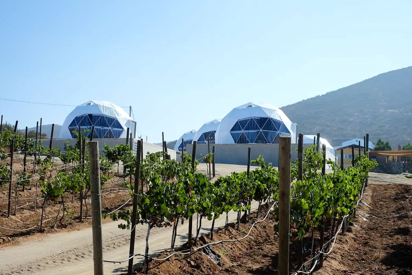 Secluded Glamping Dome with Peaceful Vibes & Sunset Views in Baja California, Mexico