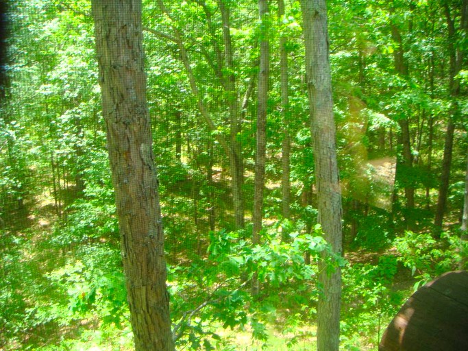 Cabins (Brethren, Michigan, United States)