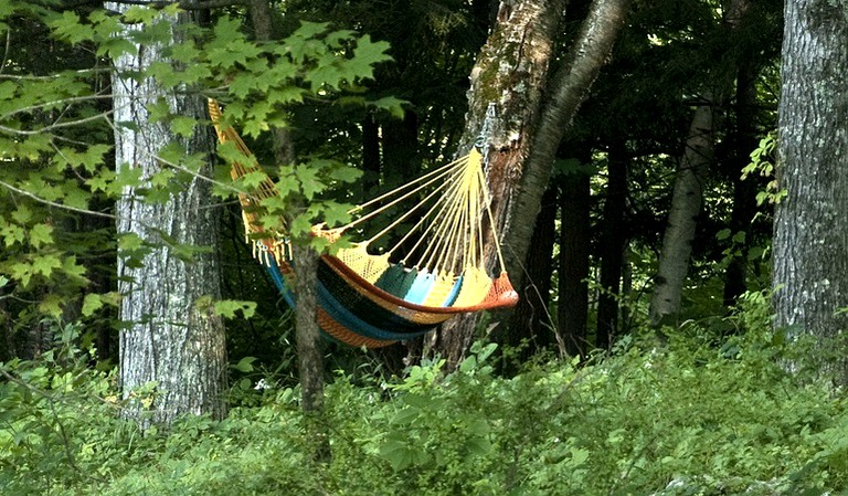 hammock hanging outside Vermont twin cabins