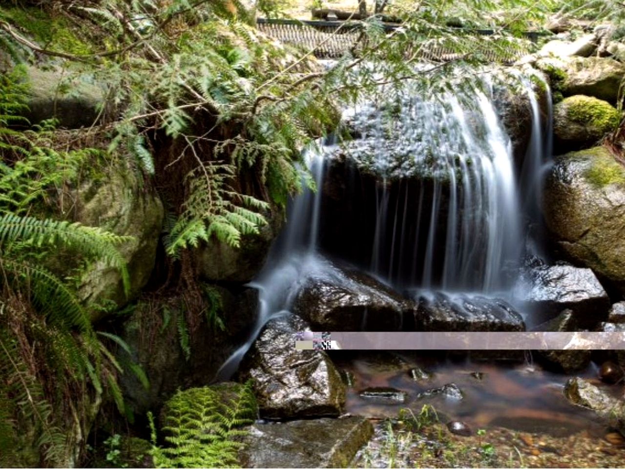 Stately Secluded Log Cabin with a Hot Tub near Abbotsford, British Columbia