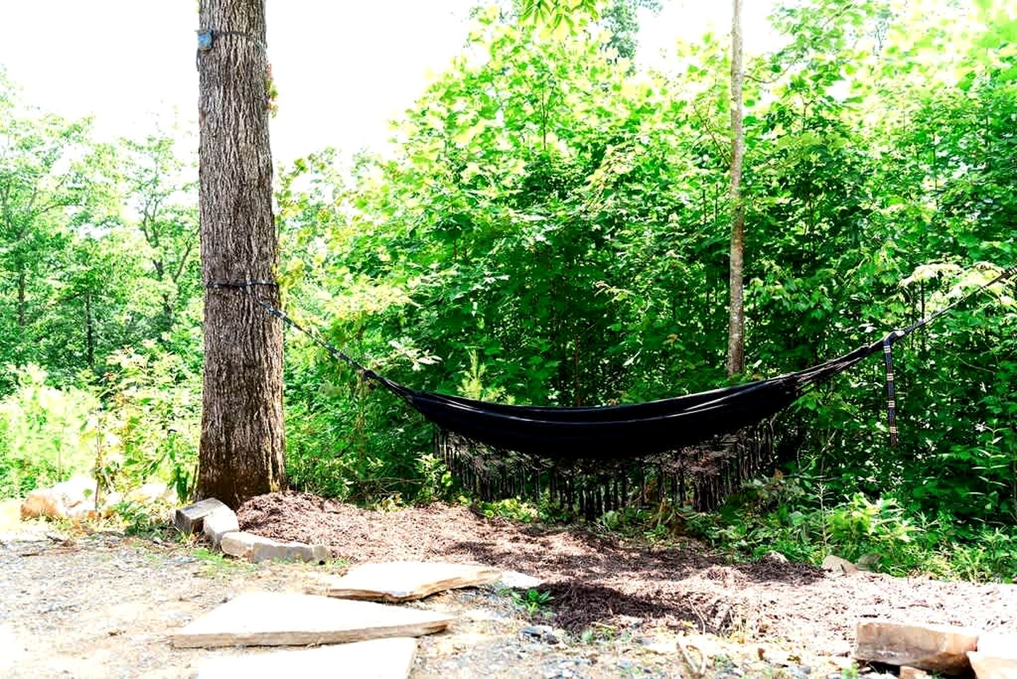 Cute Cabin near Chattanooga, for Wonderful Family Glamping in Tennessee