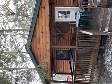 undefined photo 5
