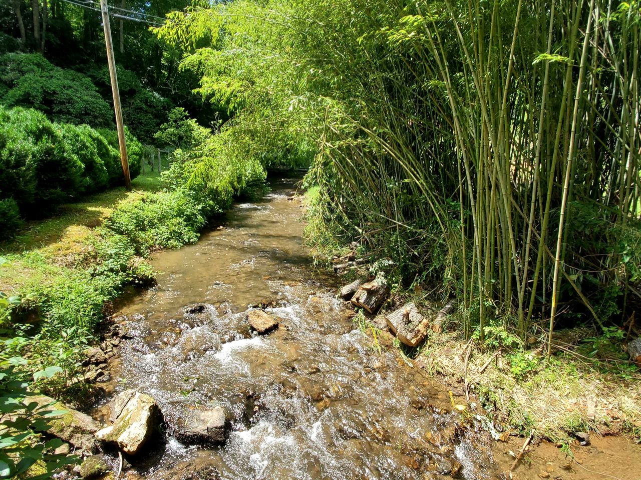 Cute Creek Cottage with Hot-Tub and Fire Pit Perfect for Hiking in Sylva, North Carolina