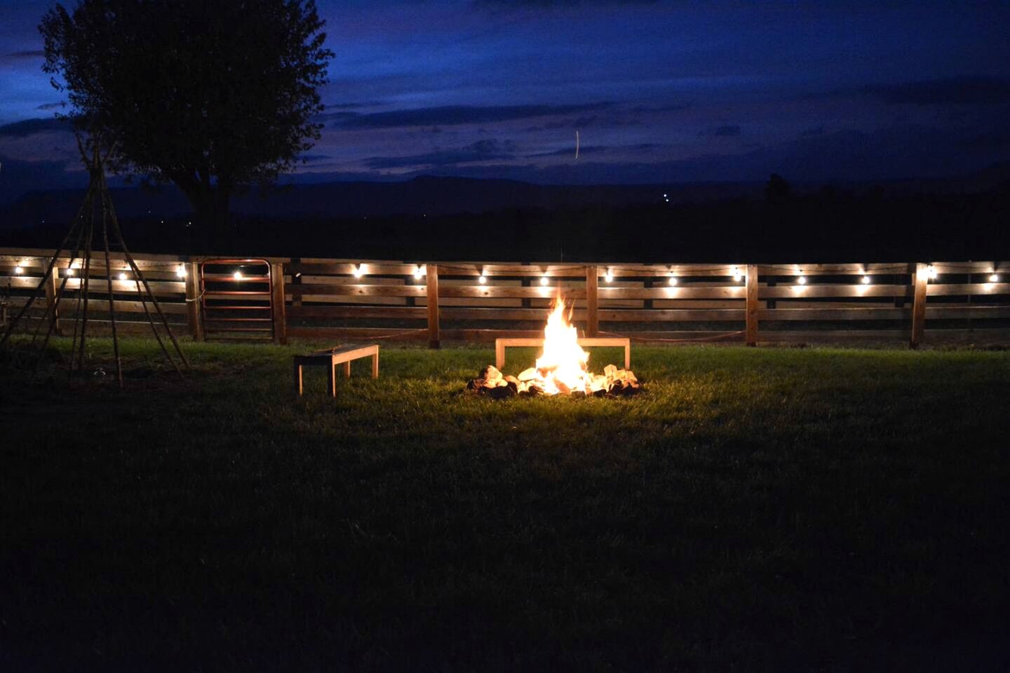 Cute Cottage on Working Farm for Farmstay Glamping Getaways to Virginia - Perfect for Animal Lovers