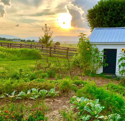 Vacation Rentals (United States of America, Luray, Virginia)