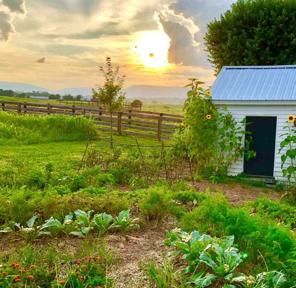 Cute Cottage on Working Farm for Farmstay Glamping Getaways to Virginia - Perfect for Animal Lovers