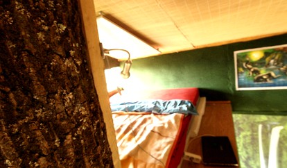 undefined photo 2
