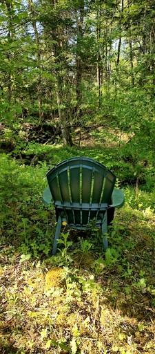 Cabins (United States of America, Hyde Park, Vermont)