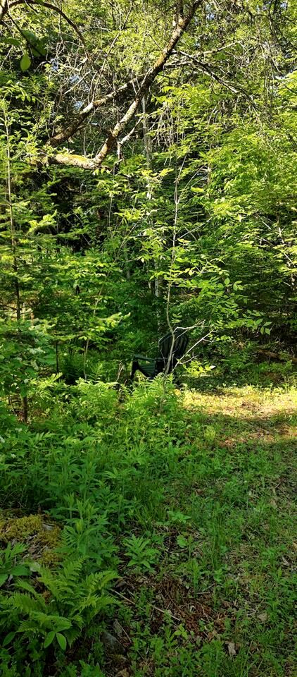 Serene Country Cabins 4 In the heart of Vermont near Hyde Park