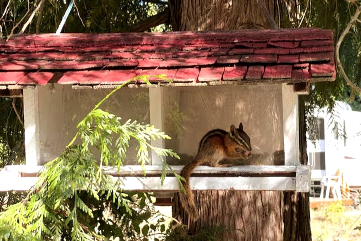 Magical Micro A-Frame on the Sunshine Coast for the Best of British Columbia's Glamping