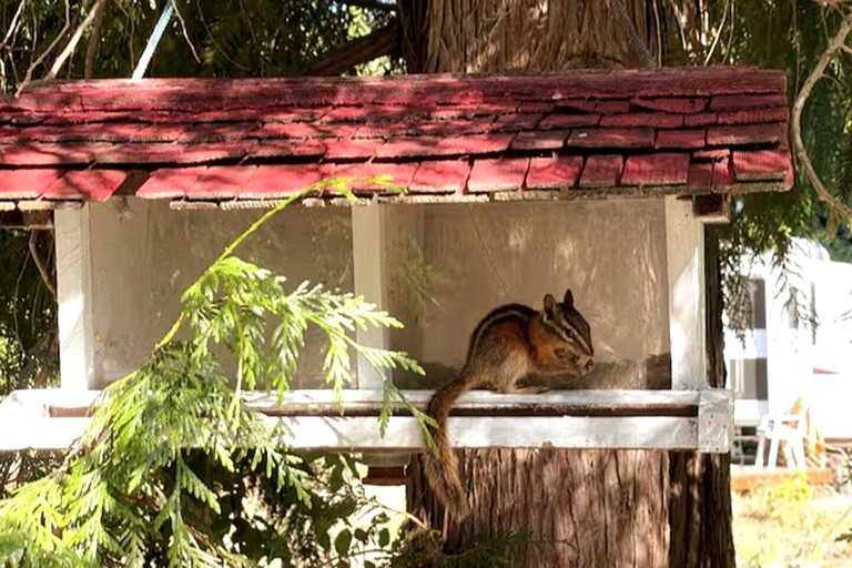 A-Frames (Canada, --, --)