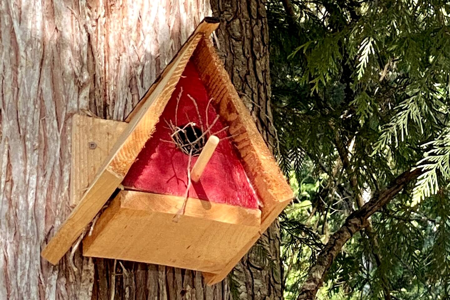 Magical Micro A-Frame on the Sunshine Coast for the Best of British Columbia's Glamping