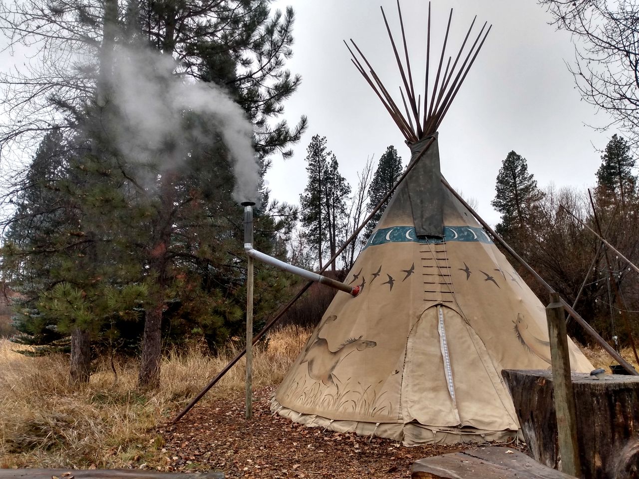 Running Horse in Garden Valley, ID