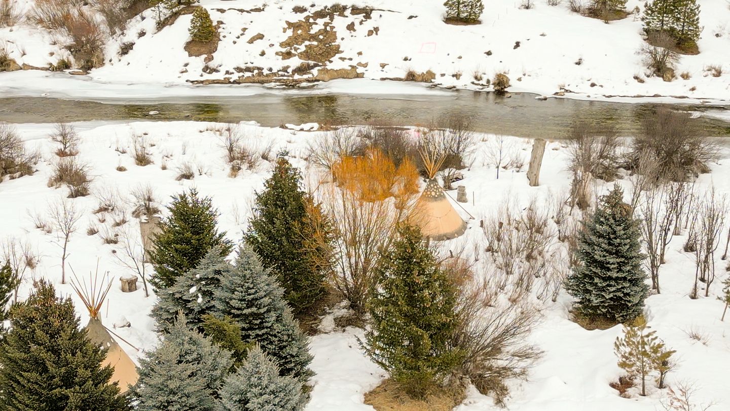 Running Horse in Garden Valley, ID