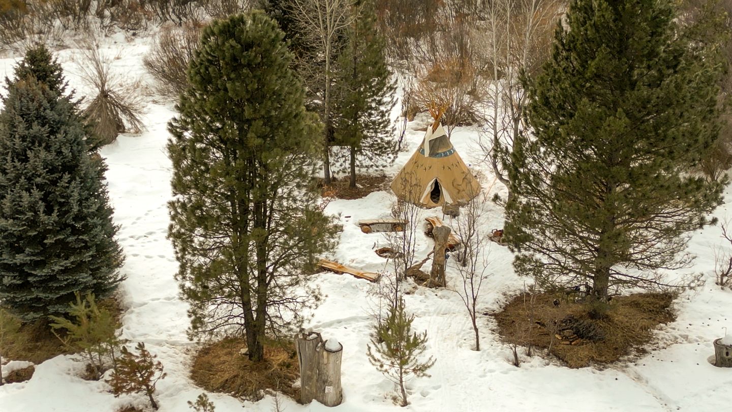 Running Horse in Garden Valley, ID