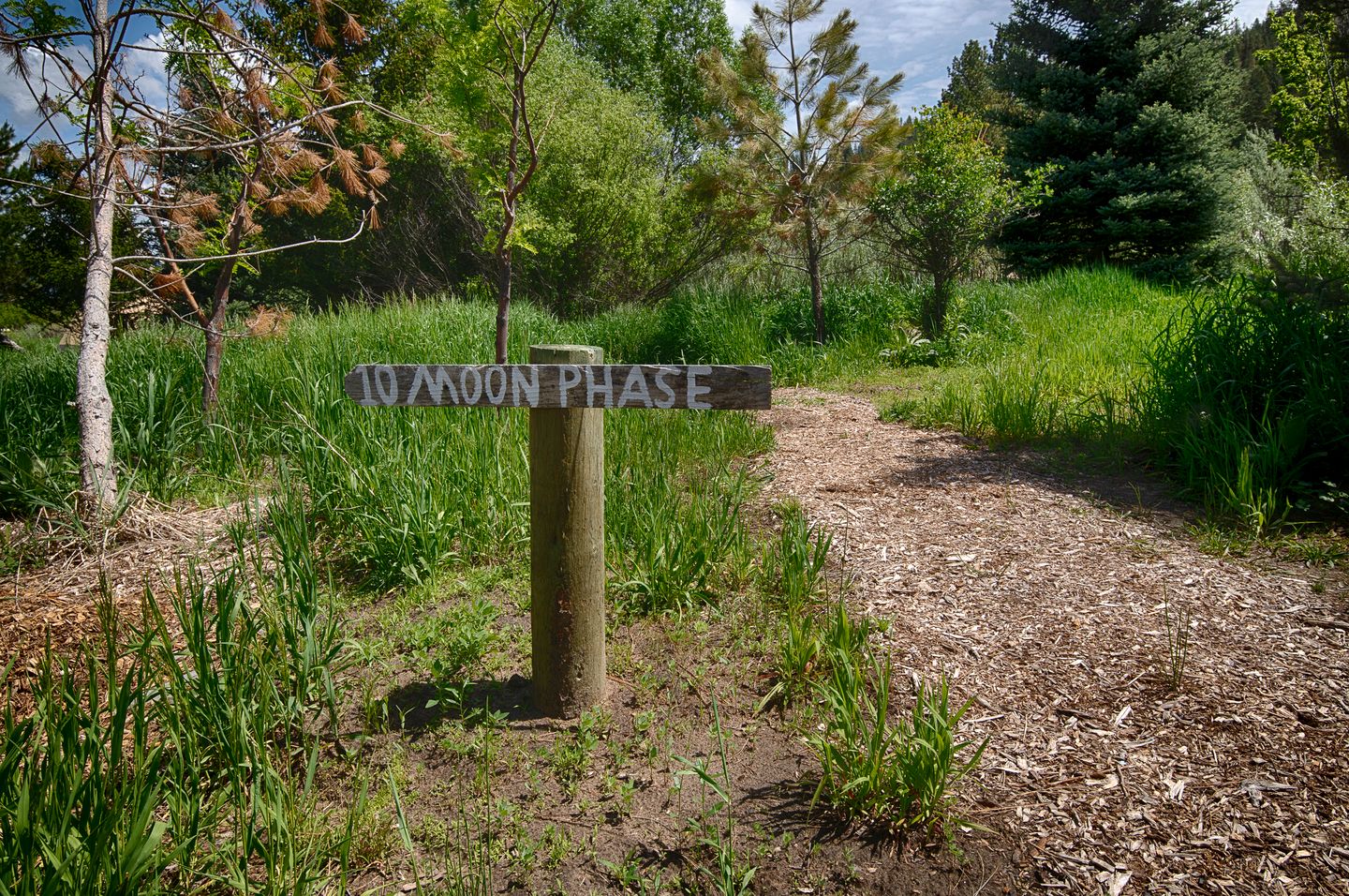 Cute Teepee near Boise, Idaho - Fantastic Glamping Getaway with Friends by the Payette River