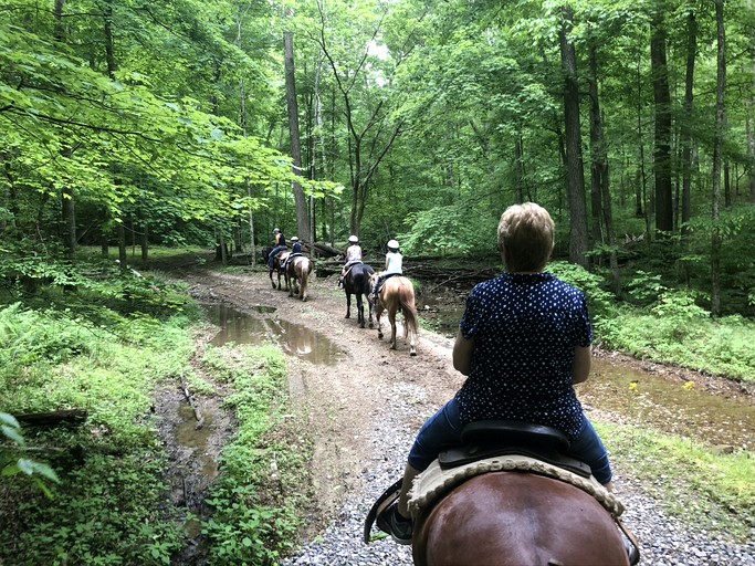 Tiny Houses (United States of America, Marion, Illinois)