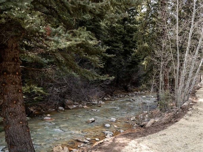 Cabins (United States of America, Grant, Colorado)