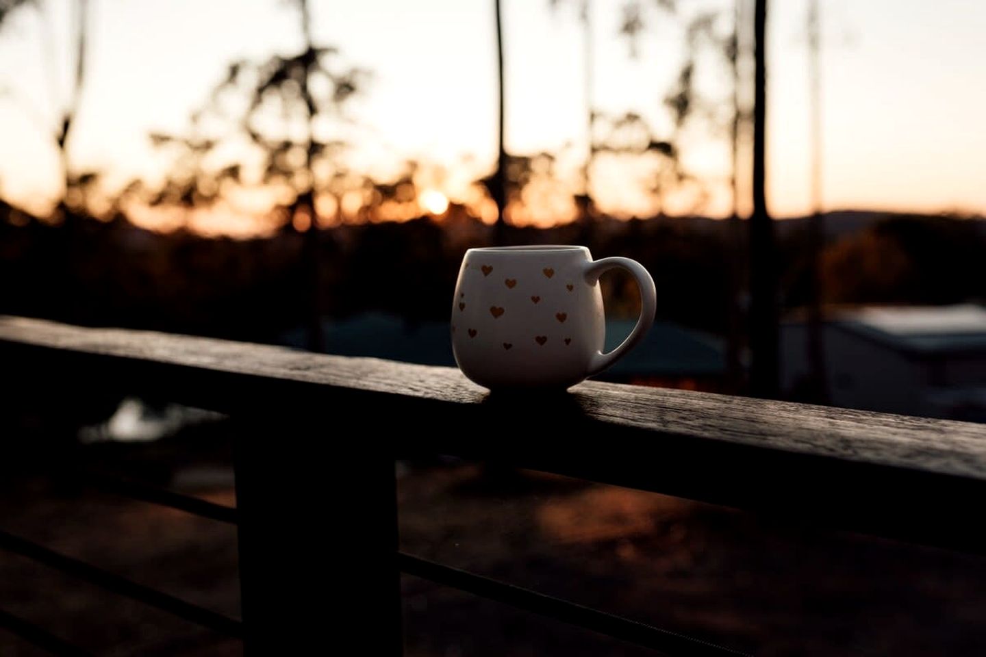 Cute Tiny House Glamping Site on the Gold Coast for Romantic Stays in Queensland, Australia