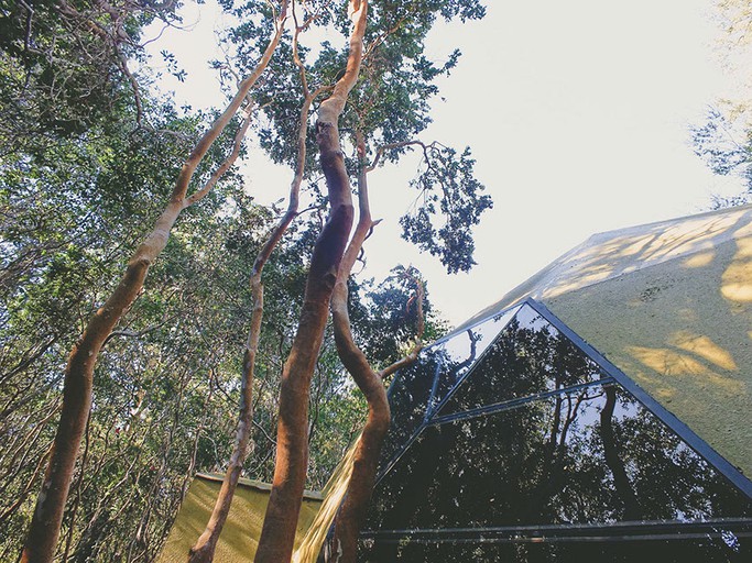 Bubbles & Domes (San Pablo, Los Lagos, Chile)