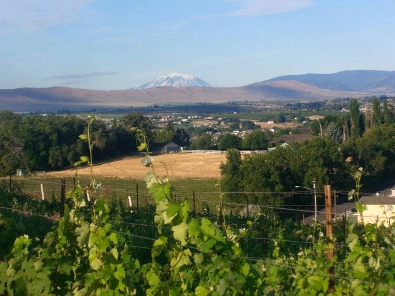 Cottage on a Vineyard in Yakima, Washington