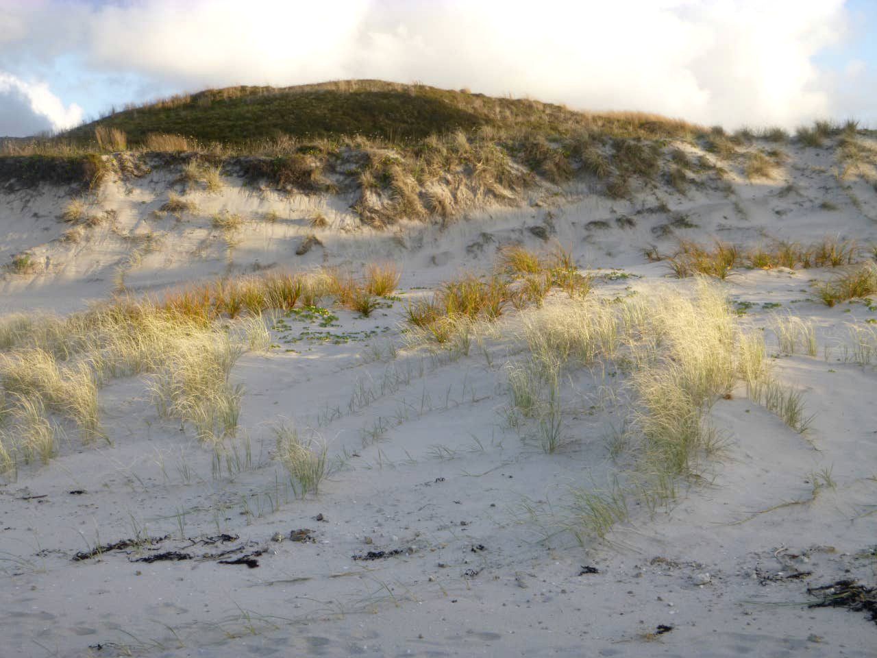 Clifftop Great Barrier Island Accommodation for a Secluded Getaway