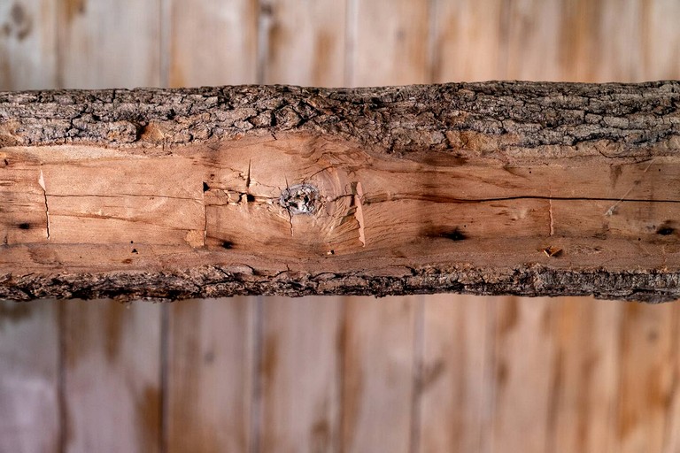 Enchanting Vacation Rental on Working Alpaca Farm near Kokomo, Indiana | Cabins (Flora, Indiana, United States of America)