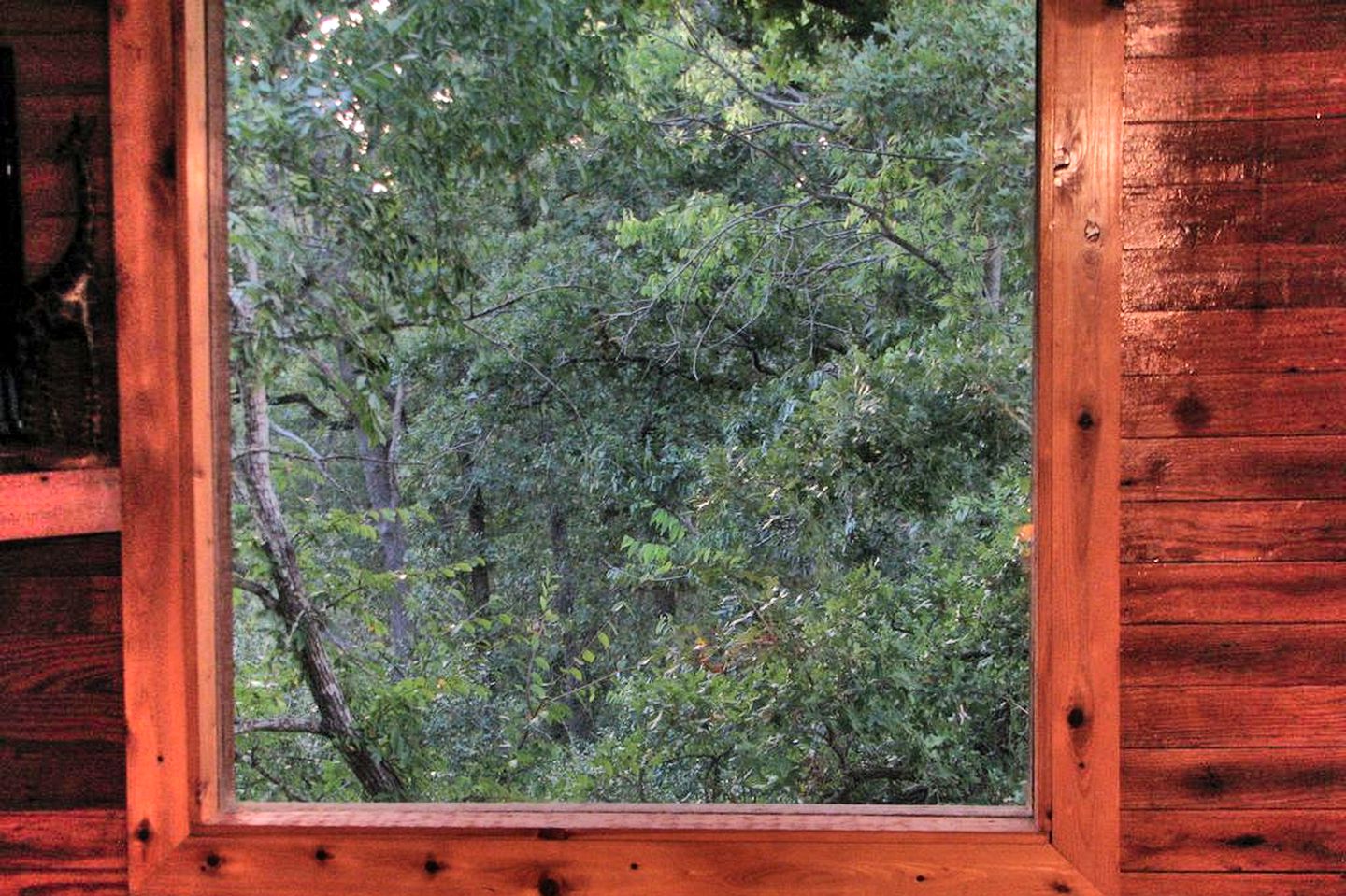 Charming Camping Cabin Rental with Enchanting Views in College Station, Texas