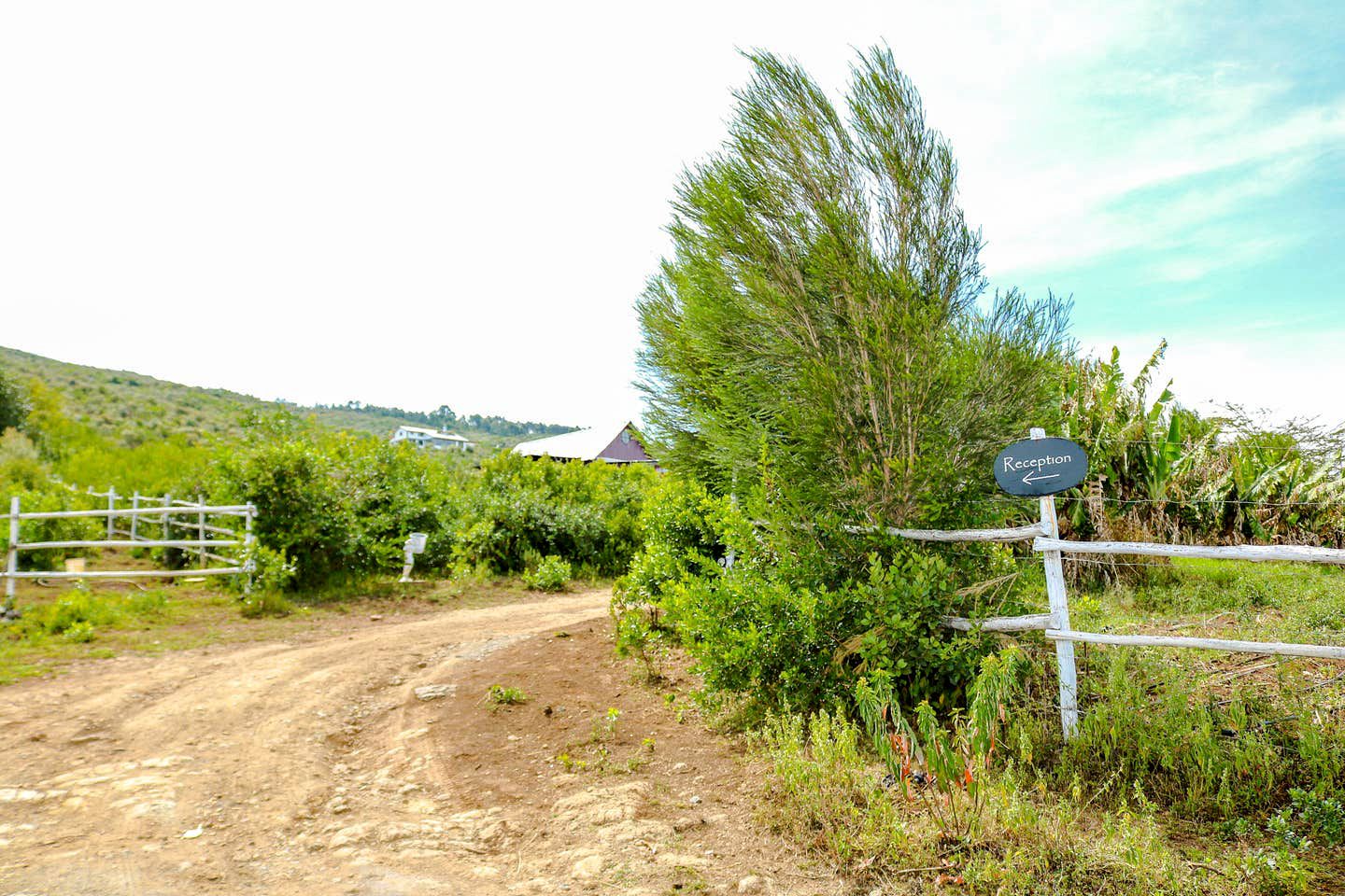 Rustic Cottage Getaway with a Shared Swimming Pool near Nakuru in Kenya