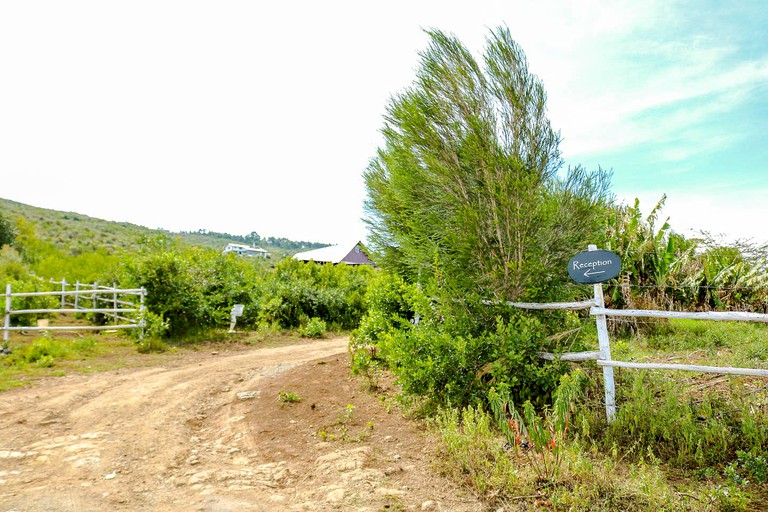 Cottages (Naivasha, Nakuru, Kenya)