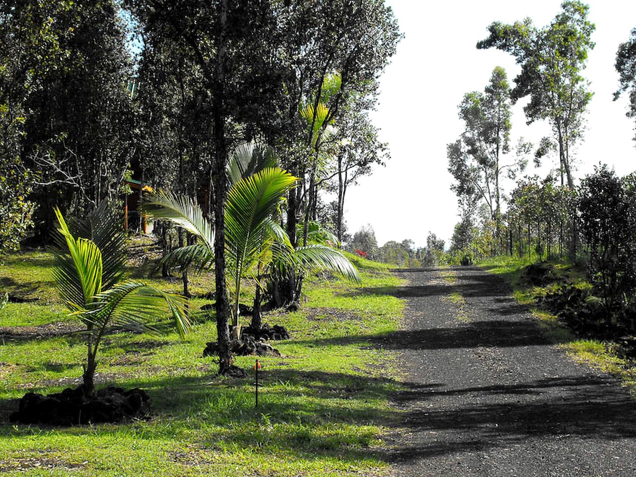 Unique Getaway at Rustic Log Cabin Bed and Breakfast in Hawaiian Acres, Hawaii
