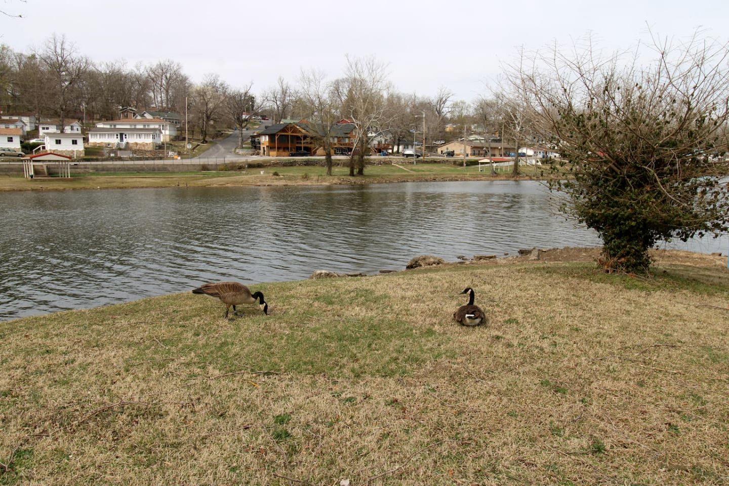 Rustic Cabin on Lake Taneycomo, Perfect for Your Next Fishing Vacation in Rockaway Beach, Missouri