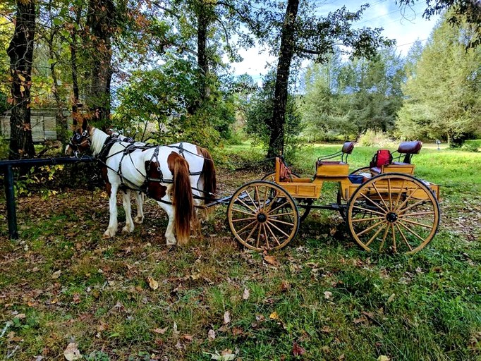 Nature Lodges (Blue Ridge, Georgia, United States)