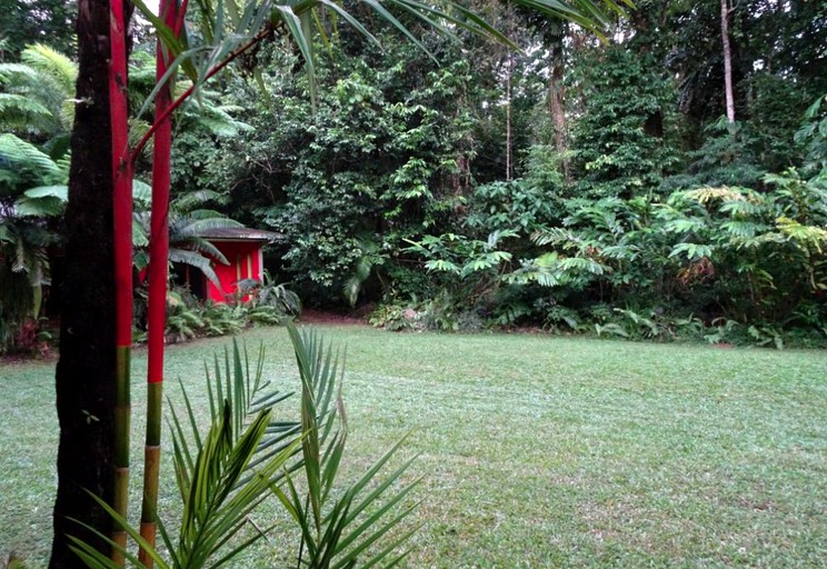 Daintree Rainforest Retreat, Nature Lodges 27959, Cow Bay, Australia Glamping Hub