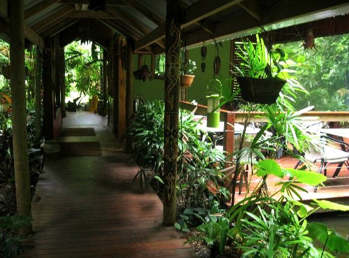Daintree Rainforest Retreat, Nature Lodges 27972, Cow Bay, Australia Glamping Hub
