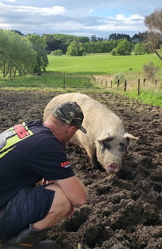 Tiny Houses (New Zealand, Dairy Flat, North Island)