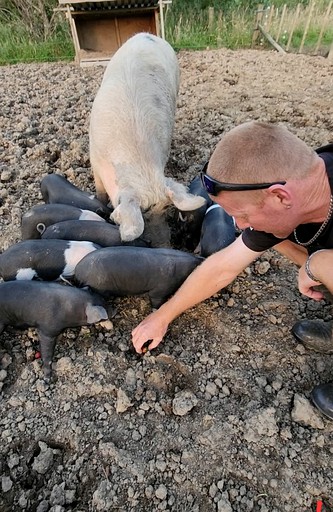 Tiny Houses (New Zealand, Dairy Flat, North Island)