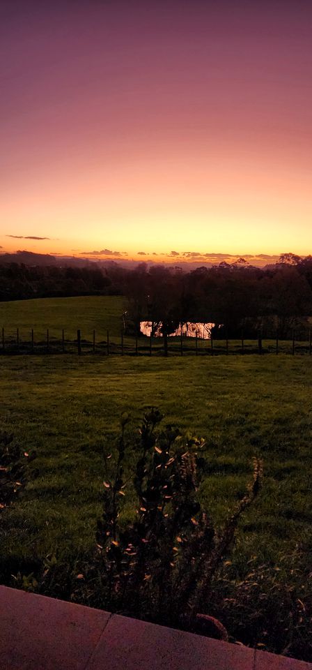 Rustic Tiny House with Outstanding Farmlands Views and Wildlife in North Island, New Zealand