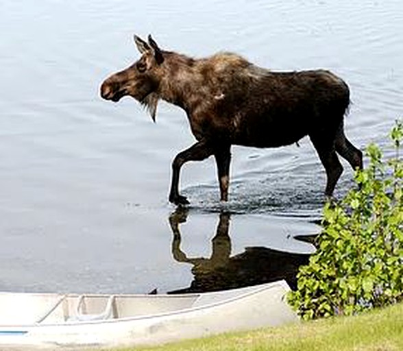 Cabins (Kenai, Arkansas, United States)