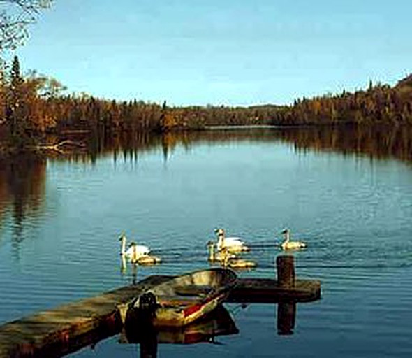 Cabins (Kenai, Arkansas, United States)