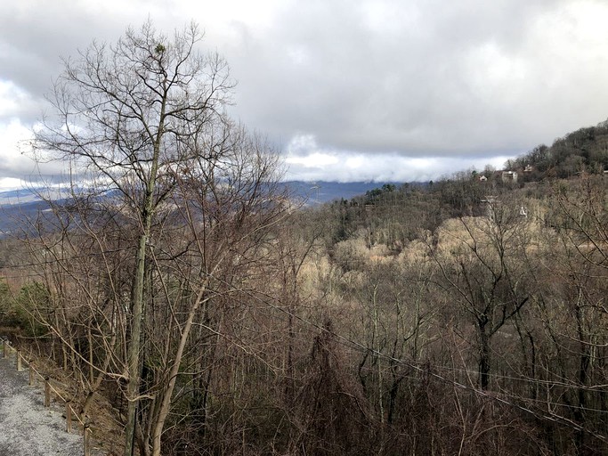 Log Cabins (Gatlinburg, Tennessee, United States)