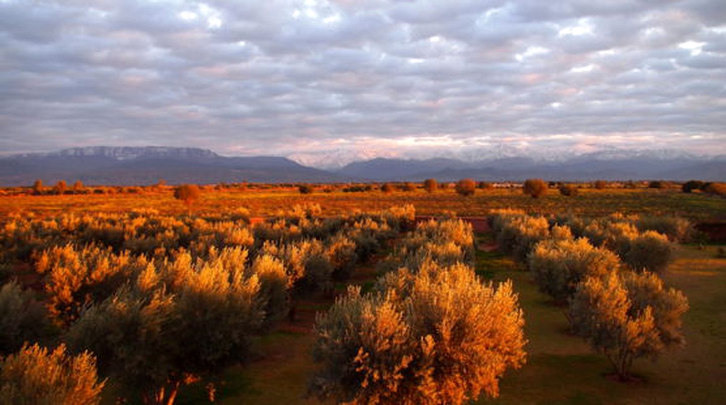 Beautiful Accommodation Rental within Easy Reach of the Majestic Atlas Mountains, Morocco