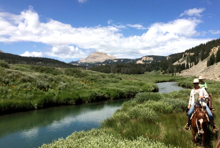 Log Cabins (Cora, Wyoming, United States)