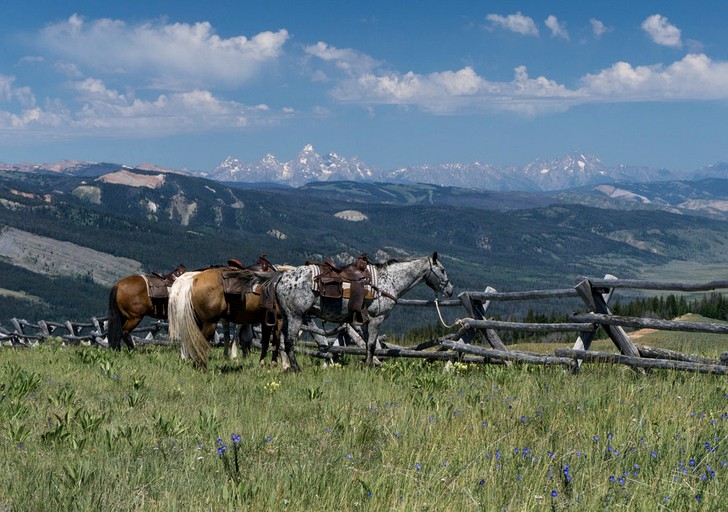 Log Cabins (Cora, Wyoming, United States)