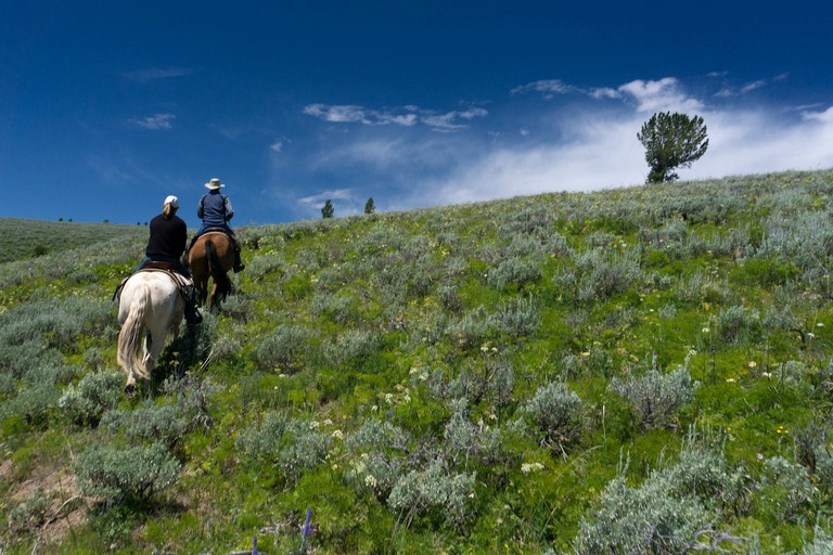 Log Cabins (Cora, Wyoming, United States)